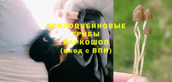 молекула духа Вяземский