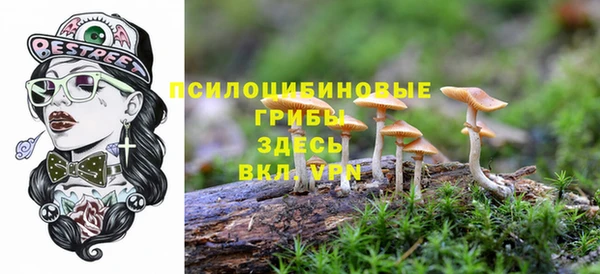 трава Волоколамск